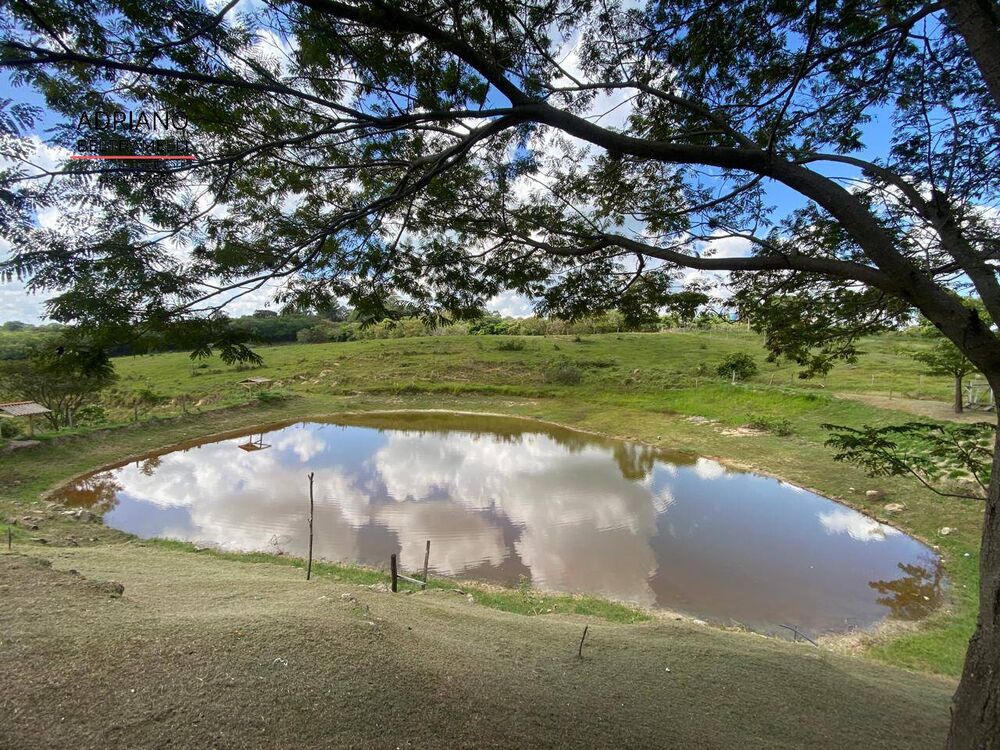 Terreno, 8 hectares - Foto 10