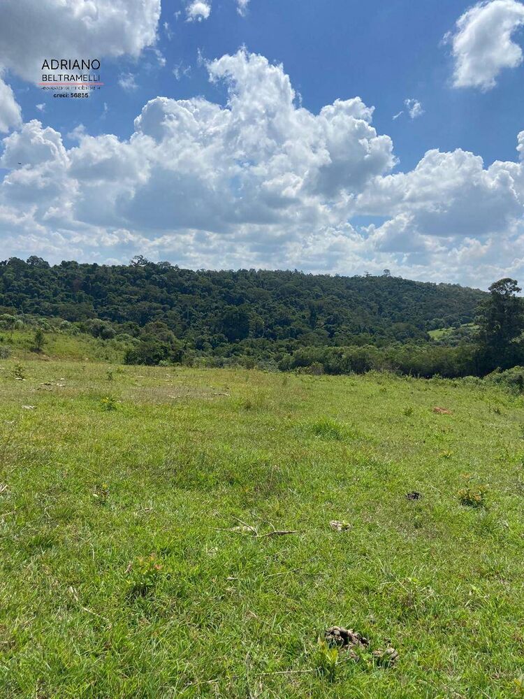 Terreno, 8 hectares - Foto 8