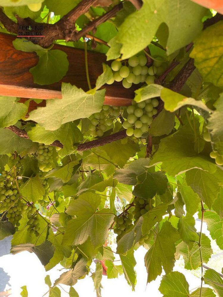 Casa de Condomínio, 4 quartos - Foto 25