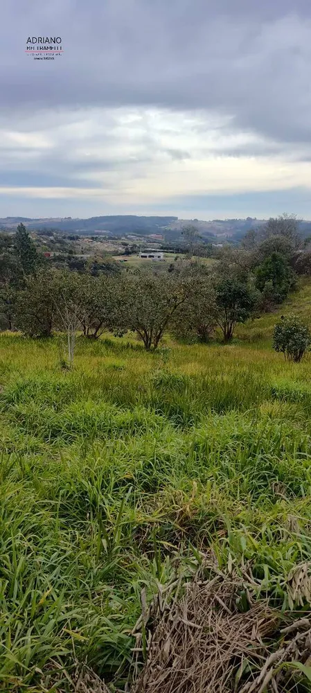 Terreno, 2 hectares - Foto 11