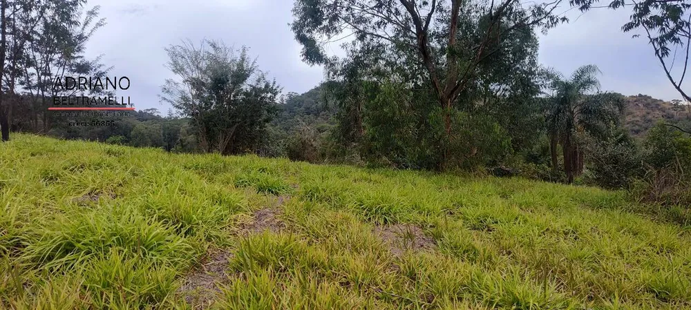 Terreno, 2 hectares - Foto 9