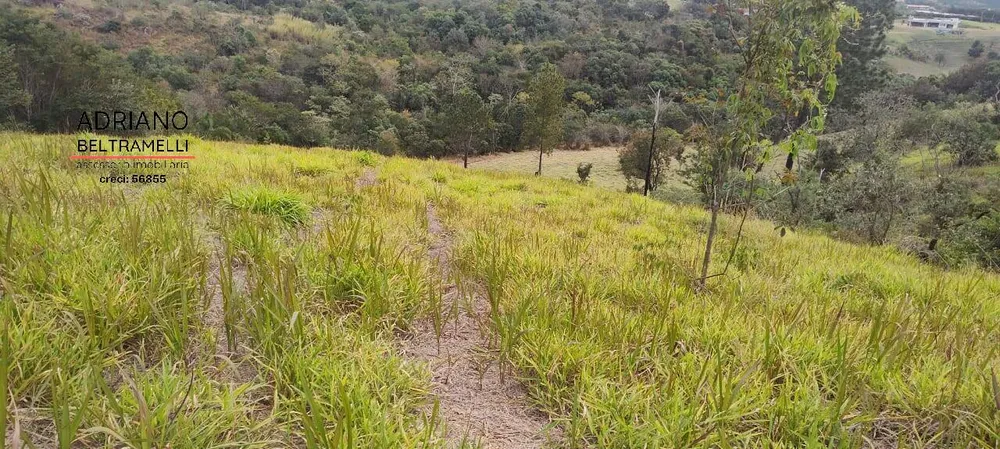 Terreno, 2 hectares - Foto 4