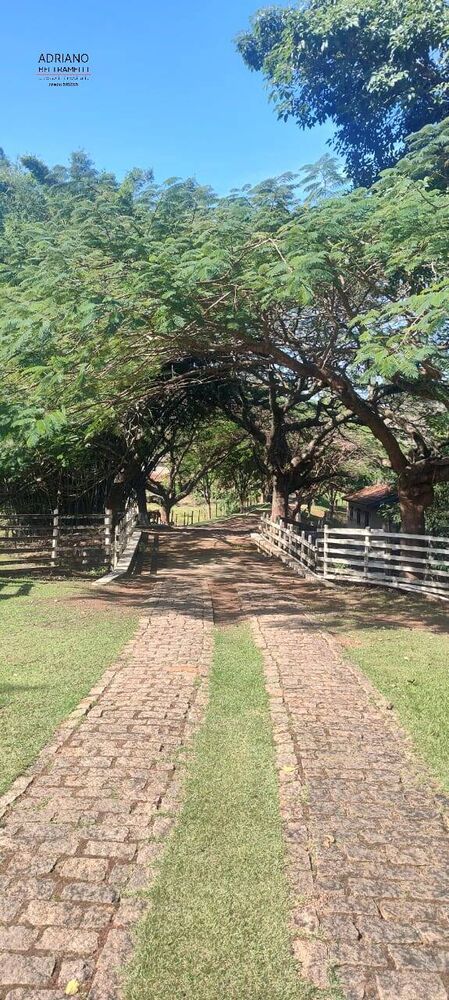 Sítio, 5 quartos, 6 hectares - Foto 22