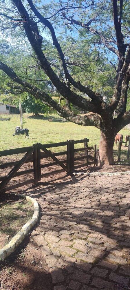 Sítio, 5 quartos, 6 hectares - Foto 19