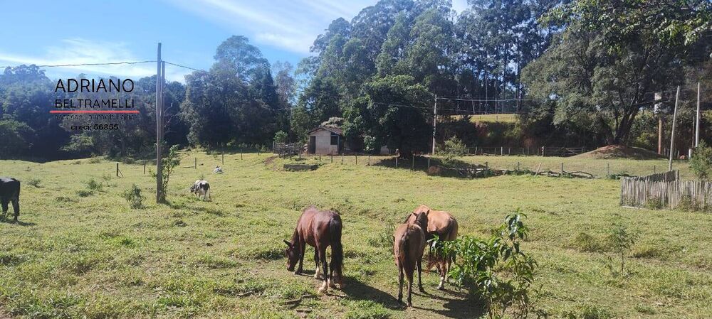 Sítio, 5 quartos, 6 hectares - Foto 17