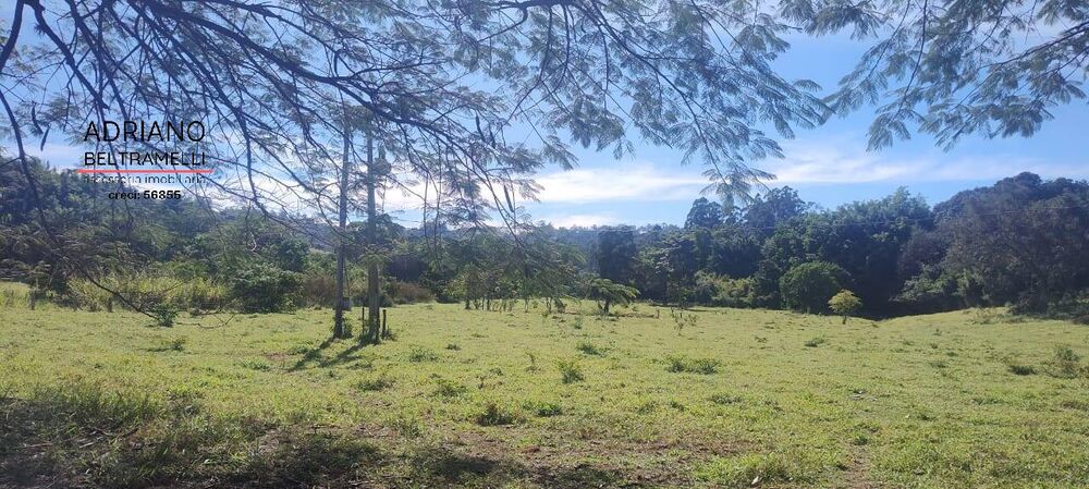 Sítio, 5 quartos, 6 hectares - Foto 12