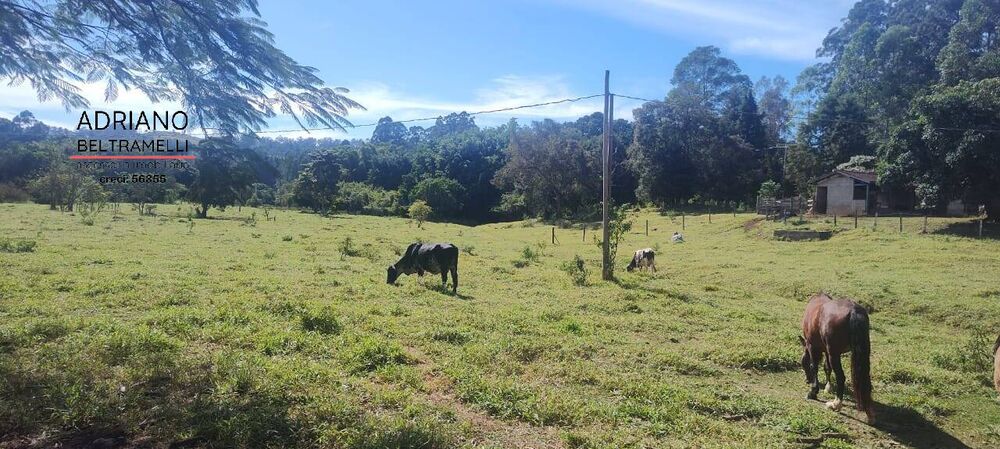 Sítio, 5 quartos, 6 hectares - Foto 13