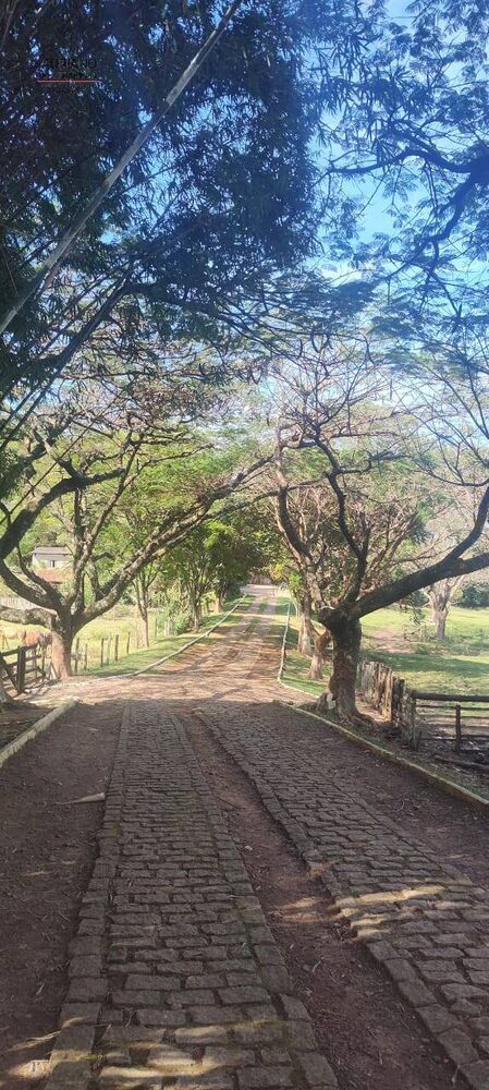 Sítio, 5 quartos, 6 hectares - Foto 31