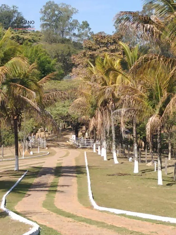 Sítio, 5 quartos, 6 hectares - Foto 9