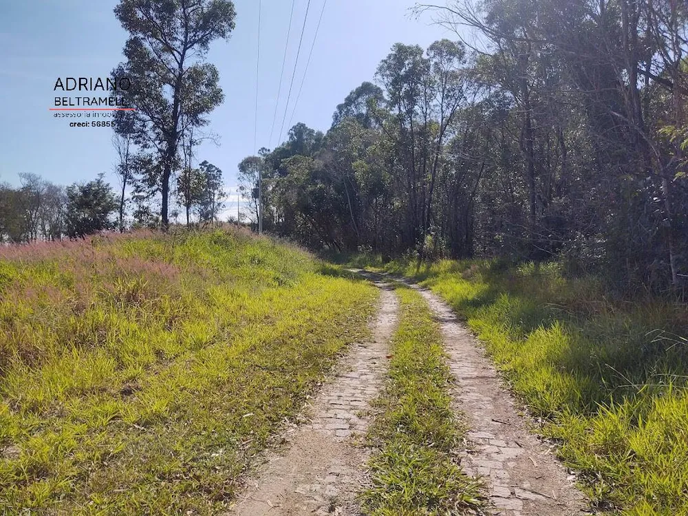 Terreno, 2 hectares - Foto 4