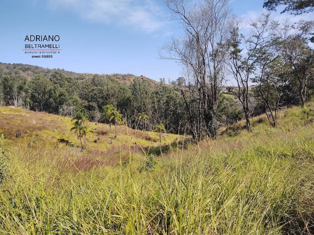 Terreno, 2 hectares - Foto 6