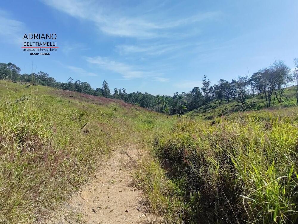 Terreno, 2 hectares - Foto 4