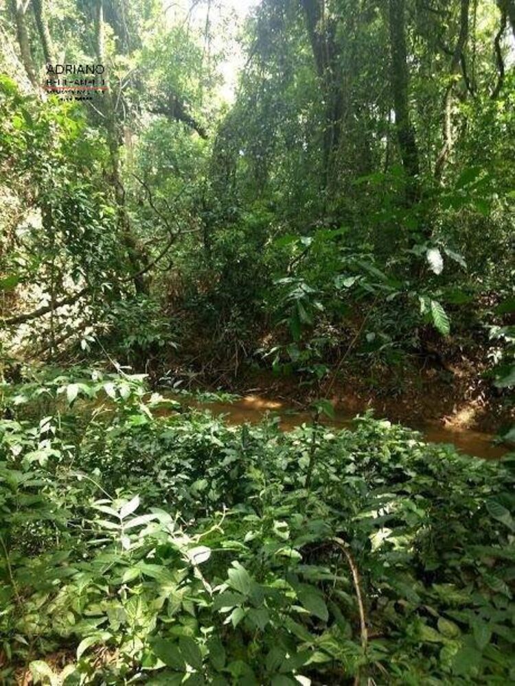 Sítio, 3 quartos, 8 hectares - Foto 16