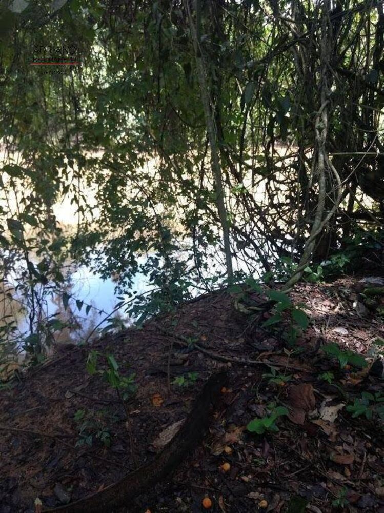 Sítio, 3 quartos, 8 hectares - Foto 14