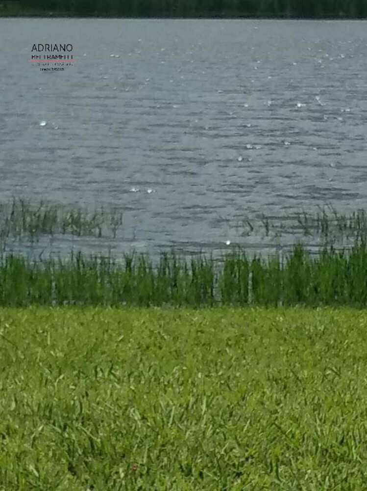 Sítio, 3 quartos, 8 hectares - Foto 6