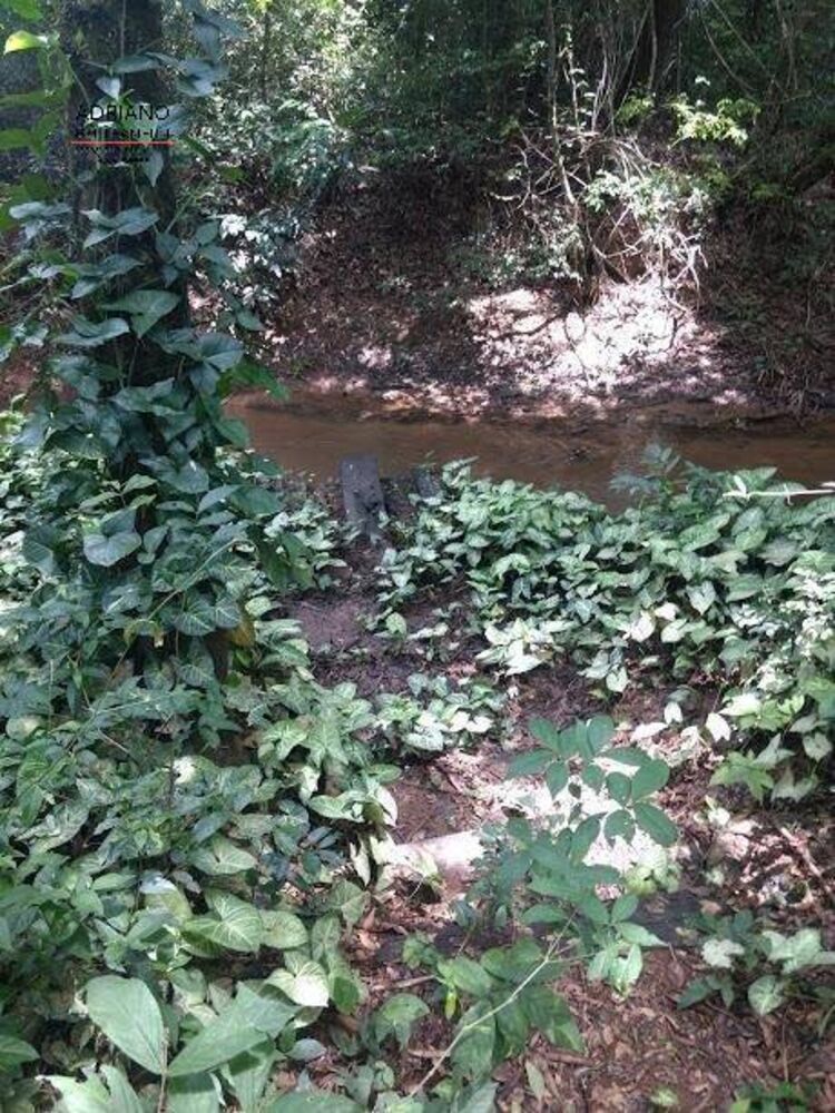 Sítio, 3 quartos, 8 hectares - Foto 22