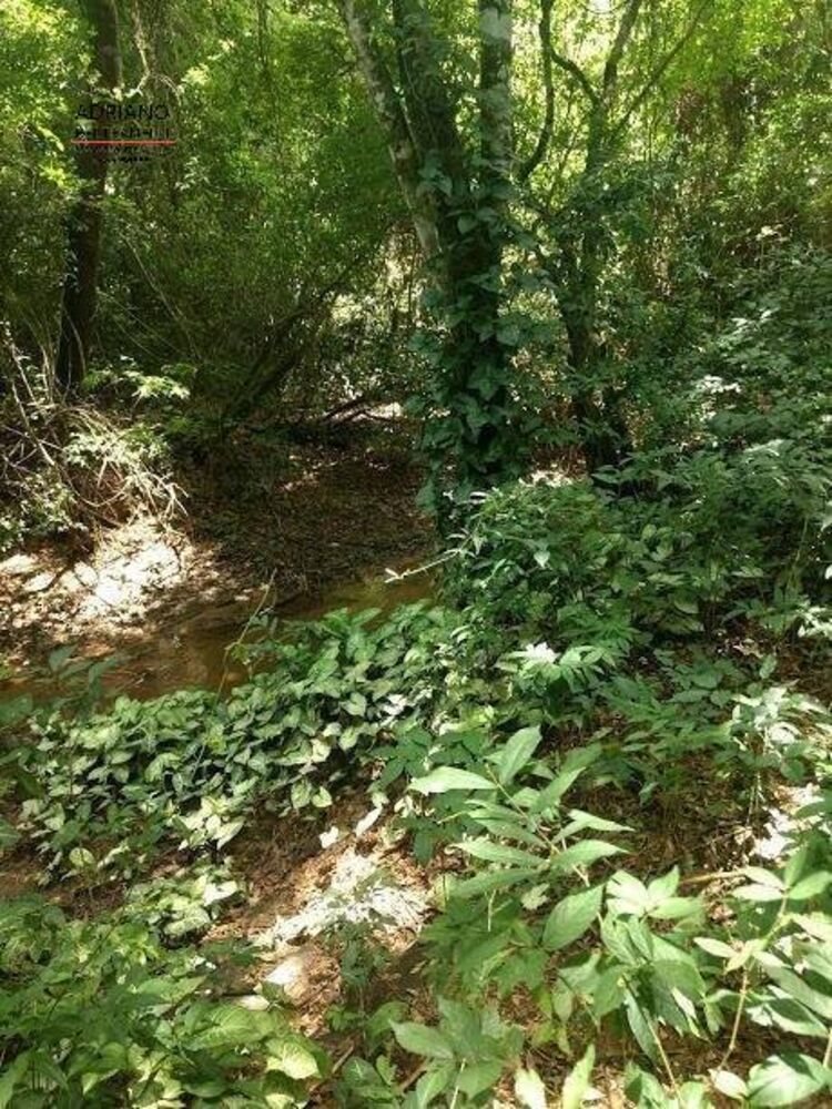 Sítio, 3 quartos, 8 hectares - Foto 13