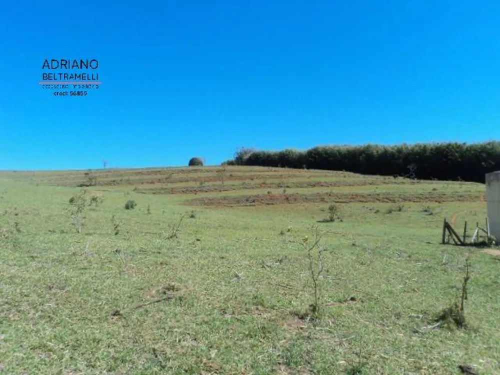 Sítio, 10 quartos, 7 hectares - Foto 13