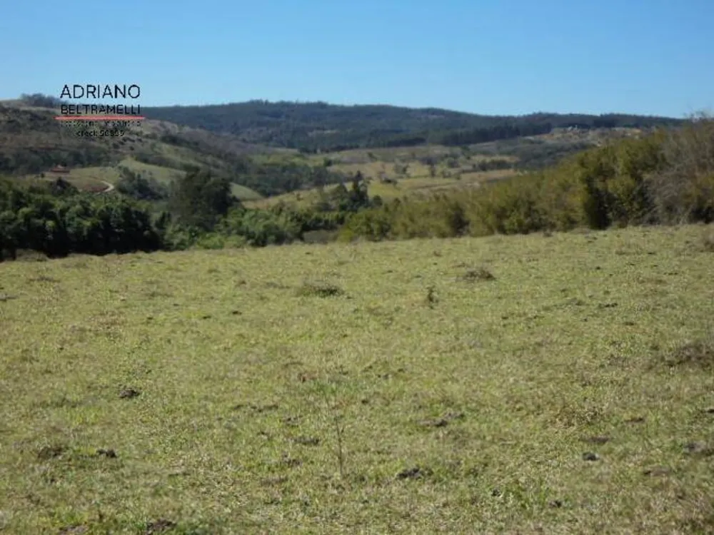 Sítio, 10 quartos, 7 hectares - Foto 14