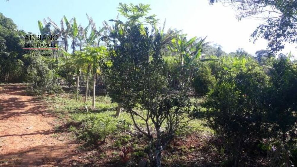 Sítio à venda com 3 quartos, 266200m² - Foto 4