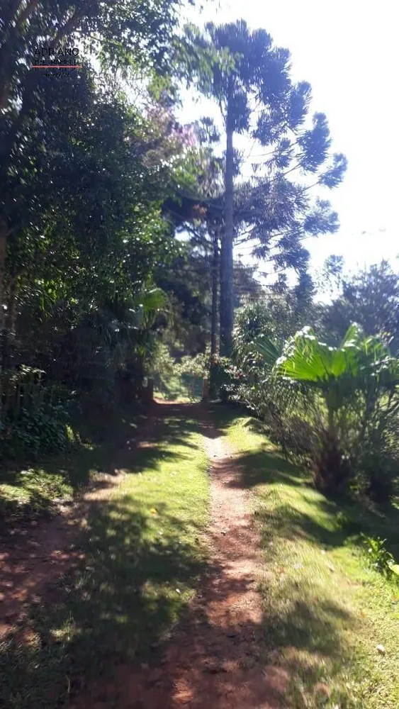 Sítio, 3 quartos, 27 hectares - Foto 2