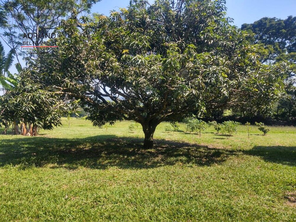 Sítio, 4 quartos, 4 hectares - Foto 13