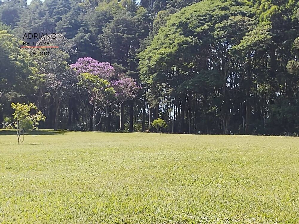 Sítio, 4 quartos, 4 hectares - Foto 18