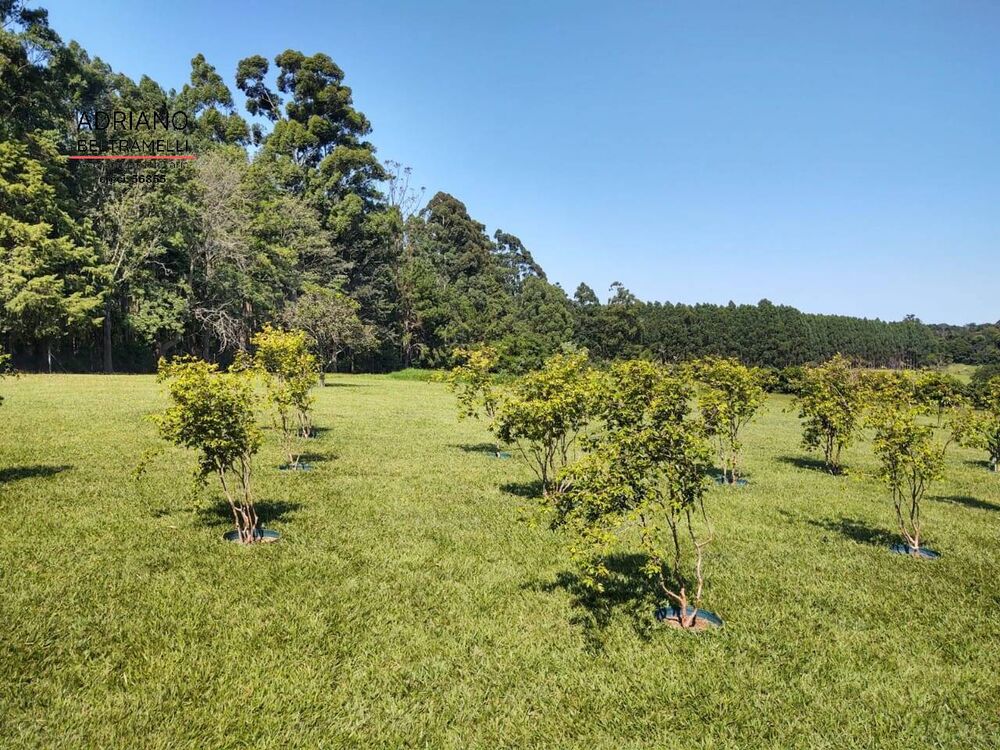 Sítio, 4 quartos, 4 hectares - Foto 11