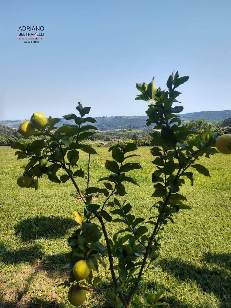 Sítio, 4 quartos, 4 hectares - Foto 17