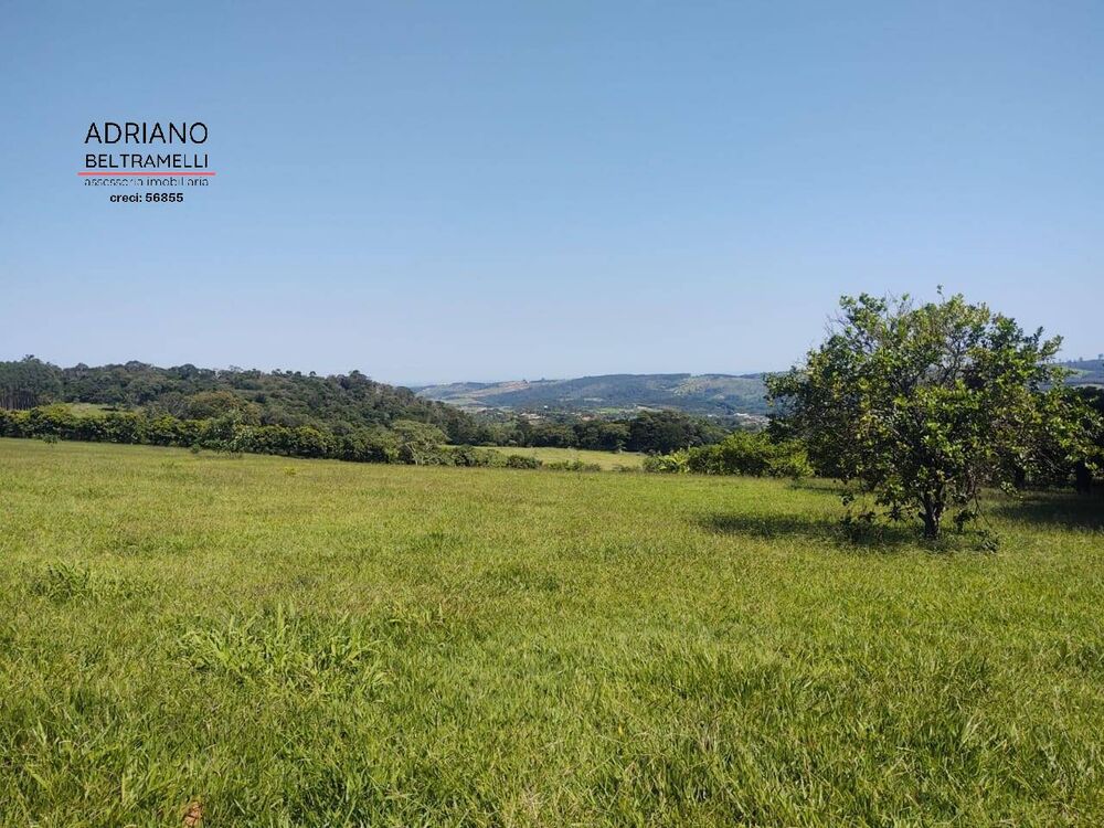 Sítio à venda com 4 quartos, 300m² - Foto 4