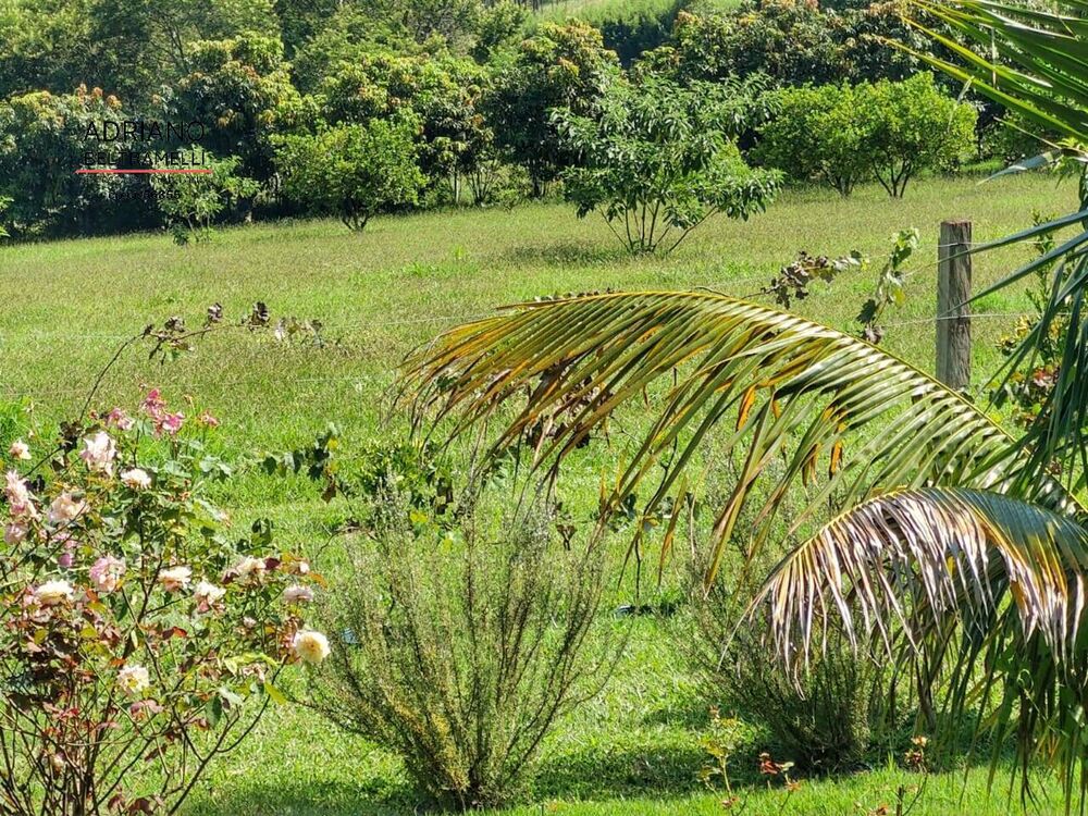 Sítio, 4 quartos, 4 hectares - Foto 15