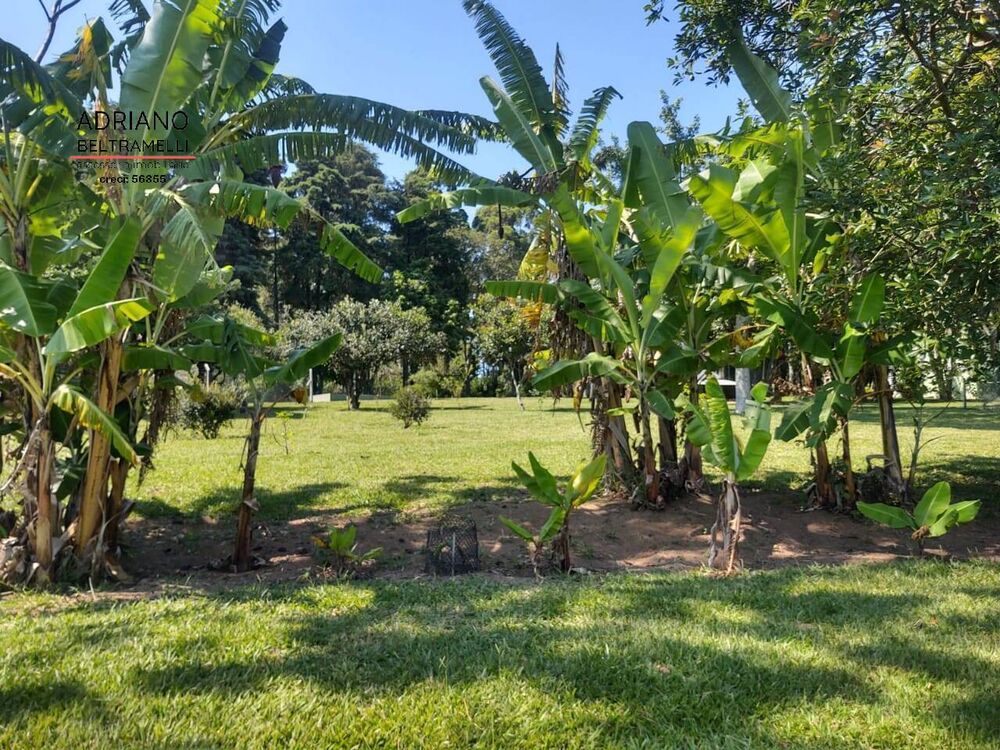 Sítio, 4 quartos, 4 hectares - Foto 6