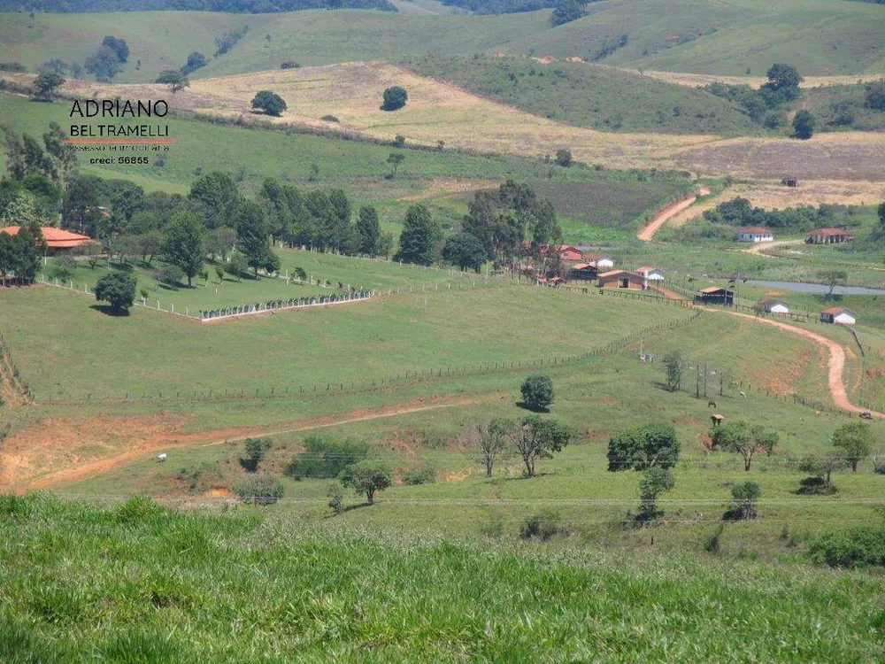 Sítio, 4 quartos, 22 hectares - Foto 13