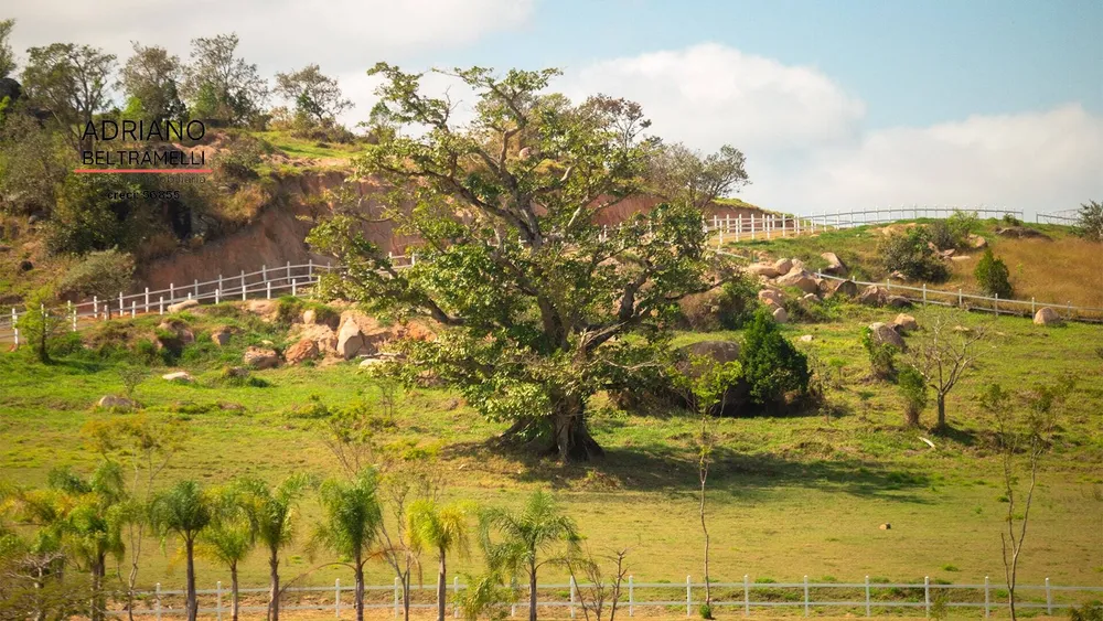 Terreno, 3 hectares - Foto 15
