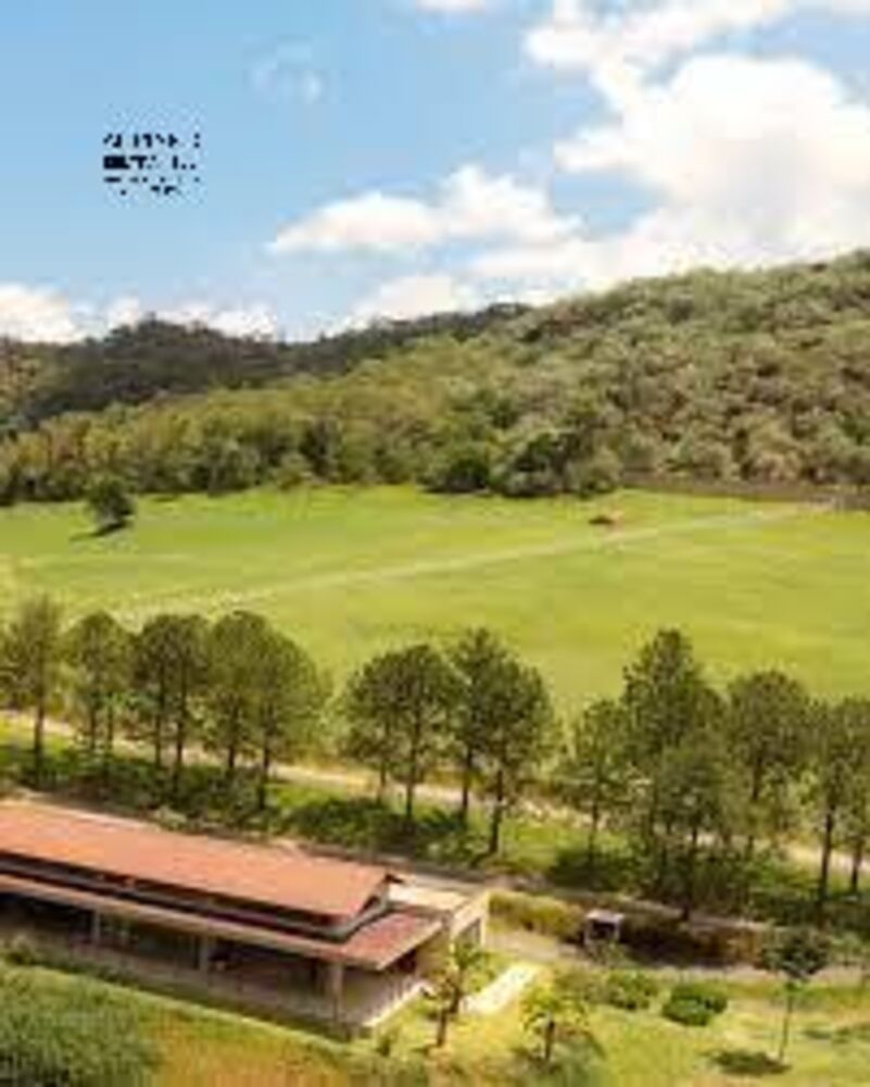 Terreno, 3 hectares - Foto 8