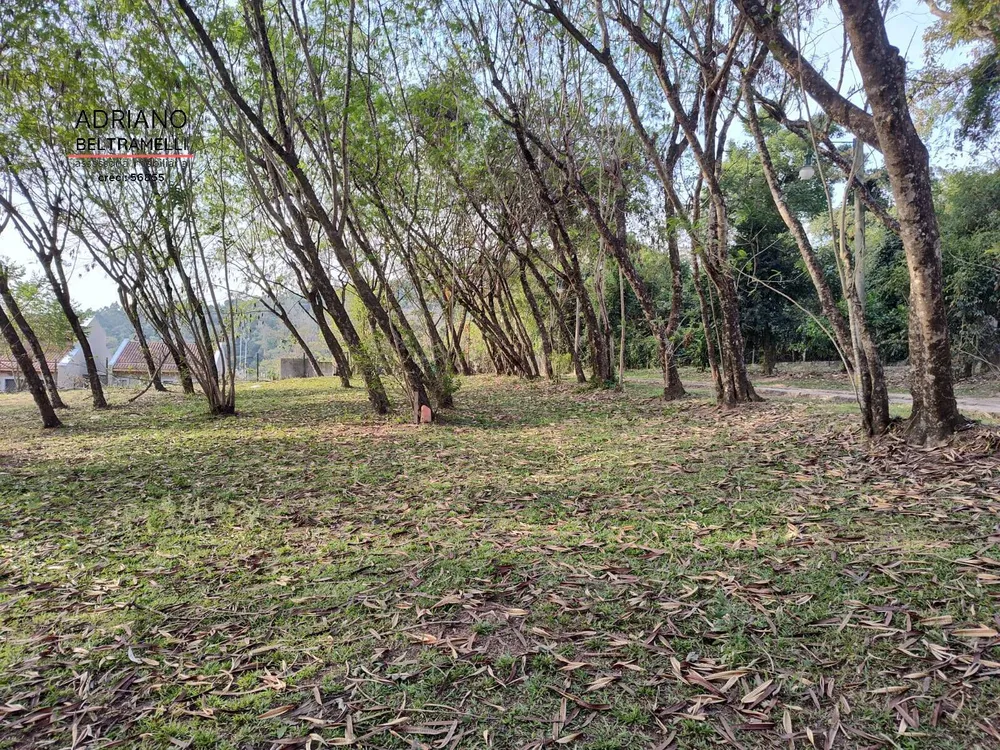 Terreno, 2 hectares - Foto 3