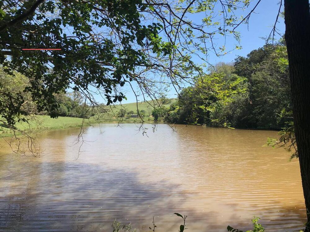 Terreno, 43 hectares - Foto 21