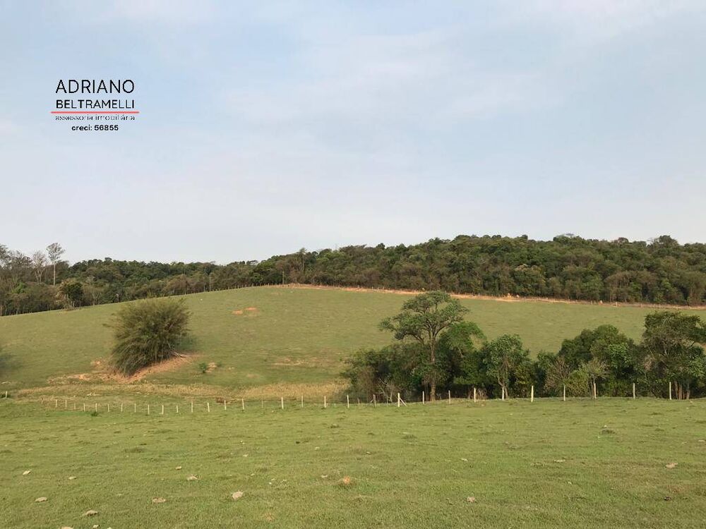 Terreno, 43 hectares - Foto 3