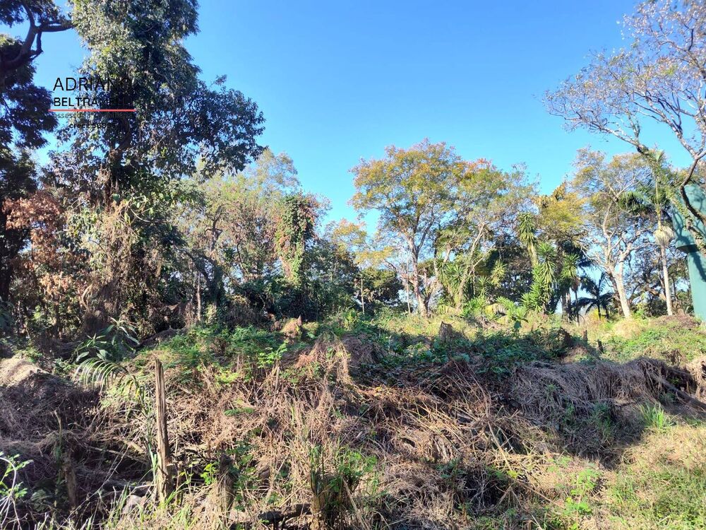 Terreno, 4000 m² - Foto 7