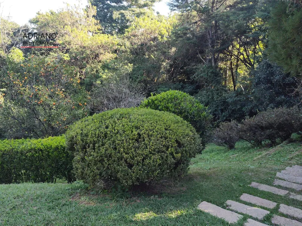 Terreno, 4000 m² - Foto 6