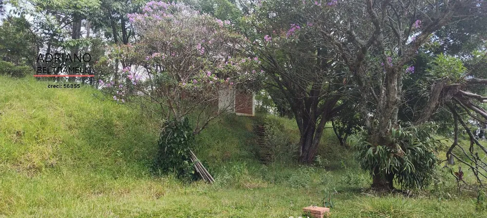 Sítio, 4 quartos, 6 hectares - Foto 10