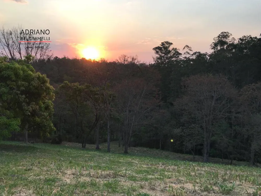 Terreno, 2 hectares - Foto 14