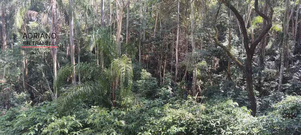 Terreno, 2 hectares - Foto 18