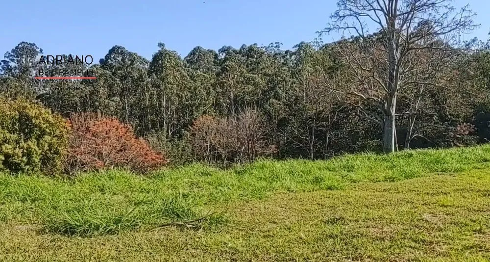 Terreno, 2 hectares - Foto 9