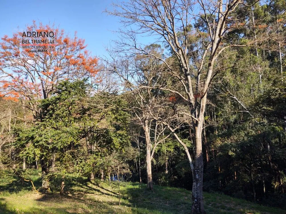 Terreno, 2 hectares - Foto 8