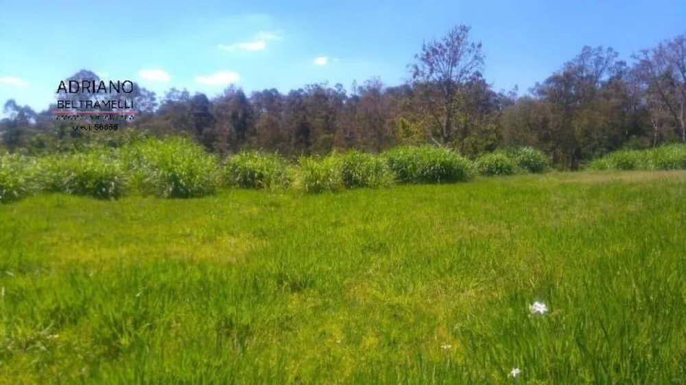 Terreno, 2 hectares - Foto 4