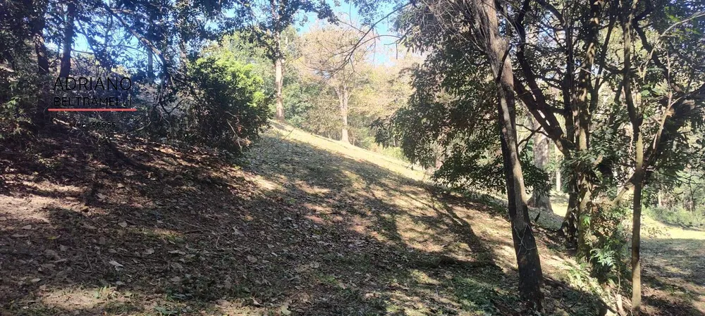 Terreno, 2 hectares - Foto 19