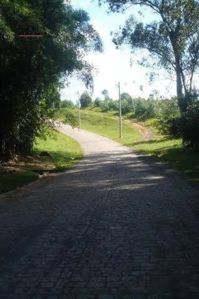 Terreno, 2 hectares - Foto 6