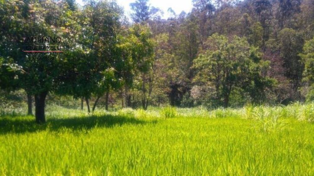 Terreno, 2 hectares - Foto 1