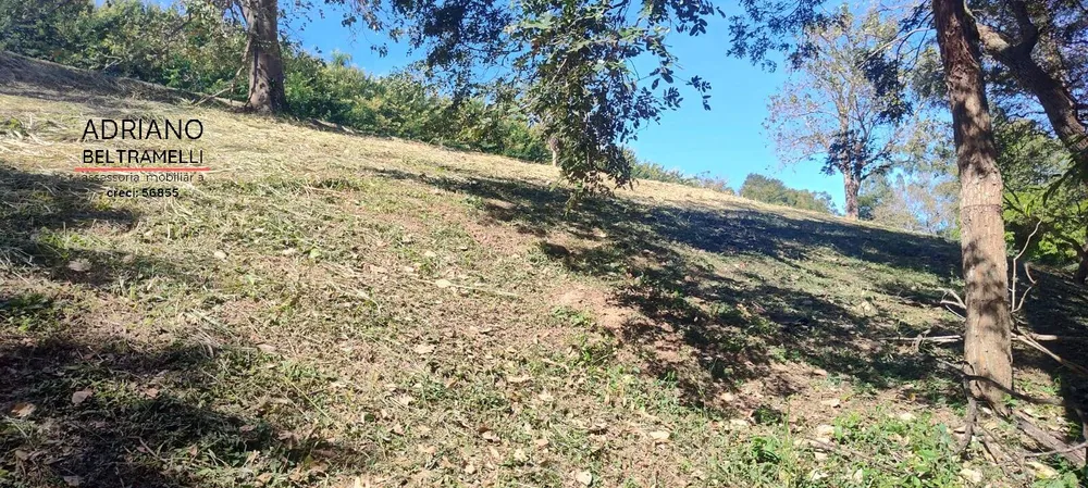 Terreno, 2 hectares - Foto 16